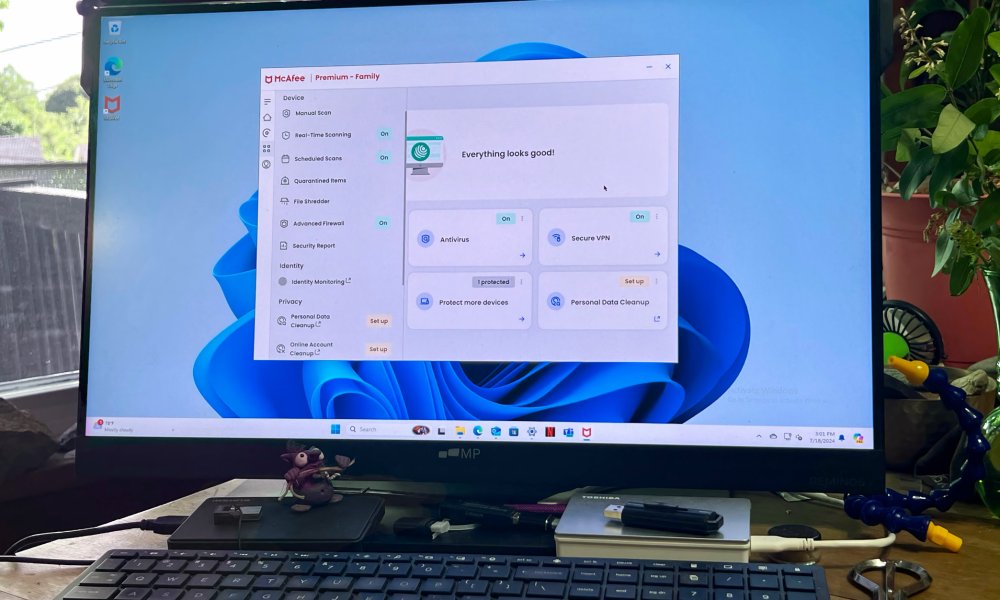McAfee antivirus software is shown on a PC monitor.