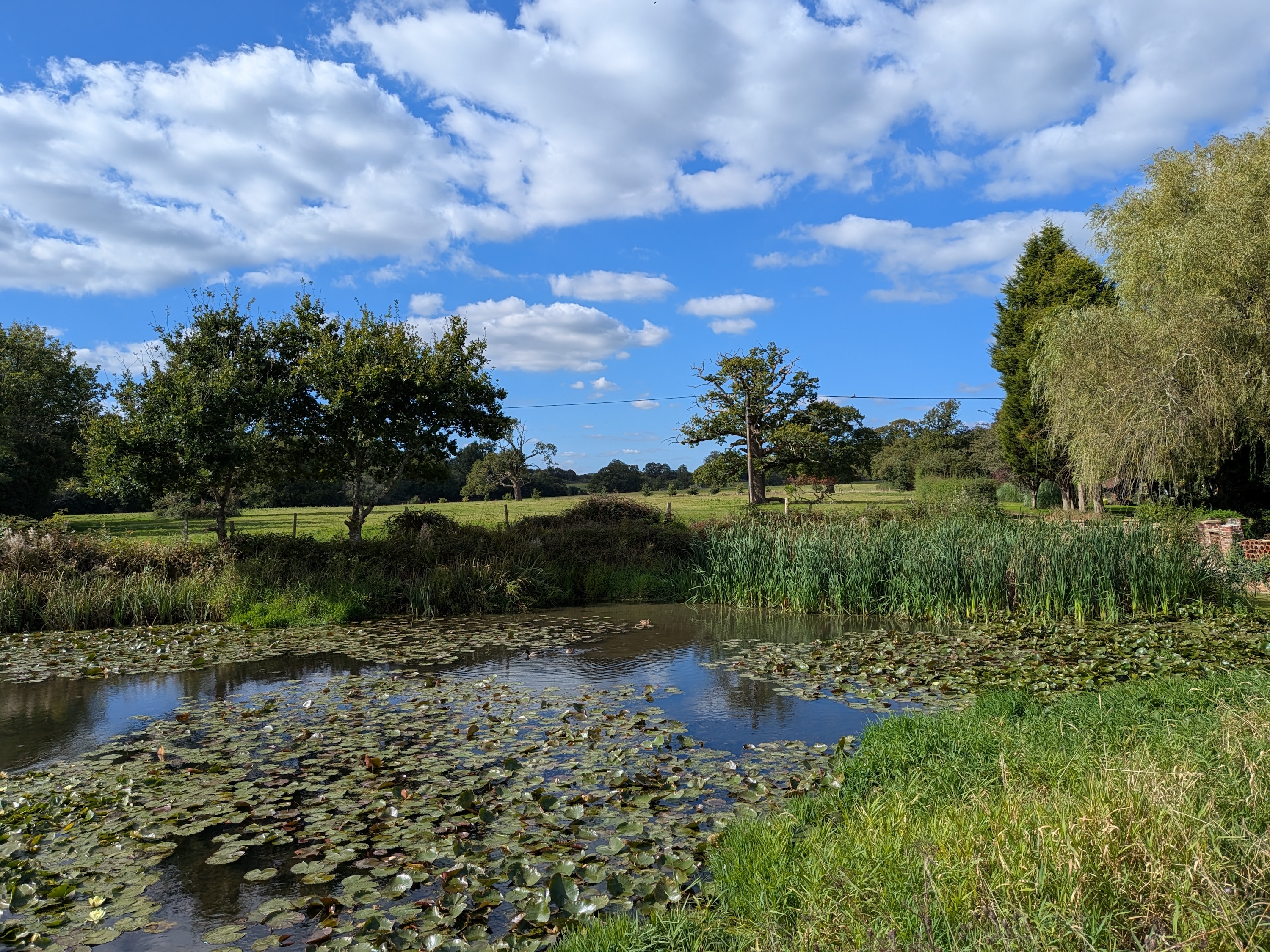 A photo taken with the Google Pixel 9 Pro Fold's main camera.