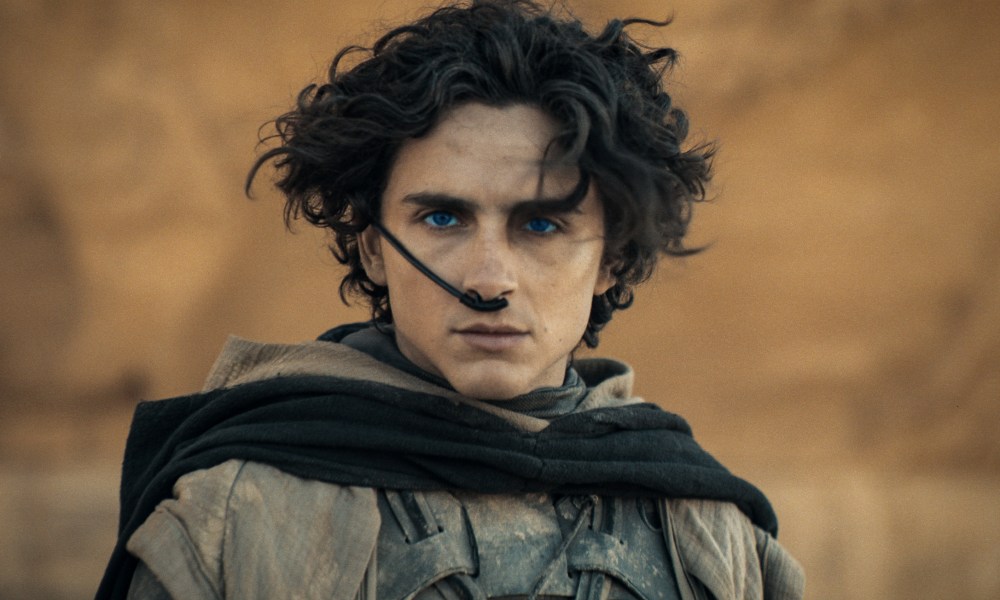 Timothee Chalamet stands near a desert wall in a still from the movie Dune: Part Two.