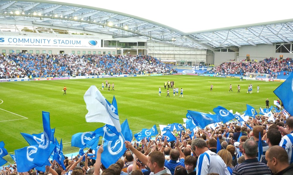 A group of rowdy fans stand in the stadium.